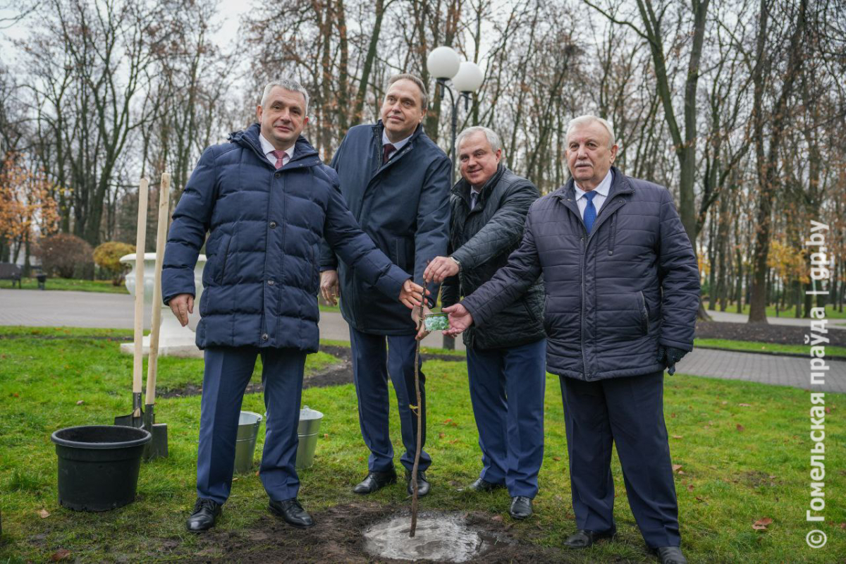 Посадка дерева в Гомельском парке-11.jpg